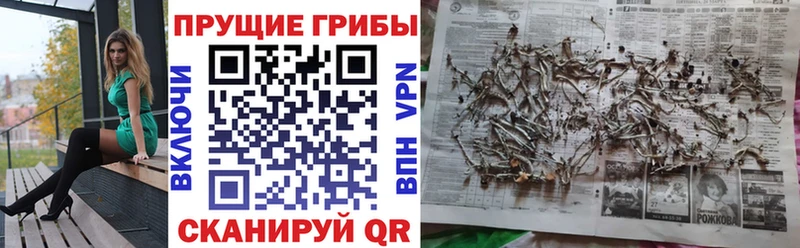 Галлюциногенные грибы GOLDEN TEACHER  Дыгулыбгей 